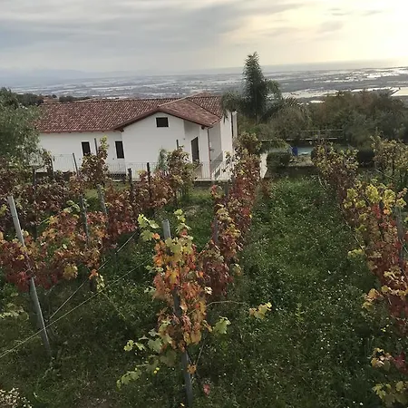 Ferienhaus Panorama